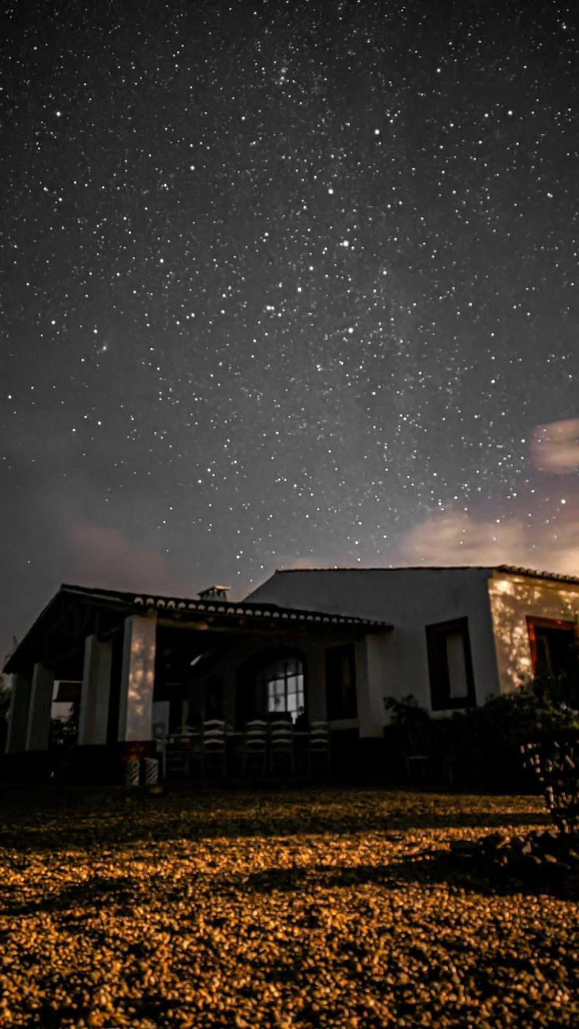 ホテル Quinta Da Chamine フィレイラ・ド・アレンテジョ 部屋 写真